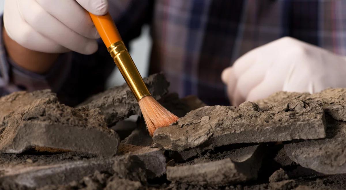 Sukces polskich archeologów. Odkryli najstarszą świątynie w rejonie Zatoki Perskiej