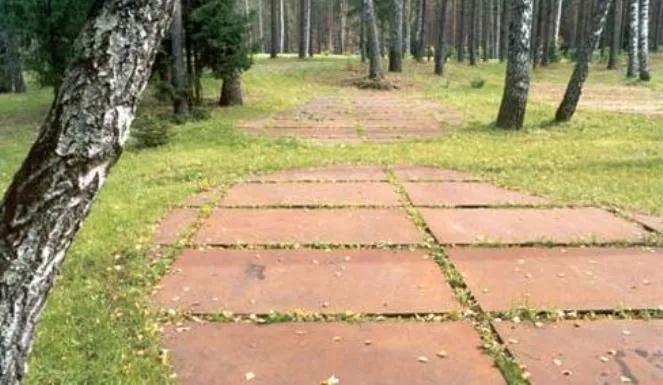 W tym roku bez uroczystości w Katyniu?