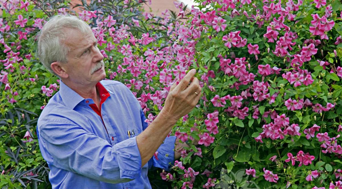 Firma Clematis doceniona na targach ogrodniczych w niemieckim Essen