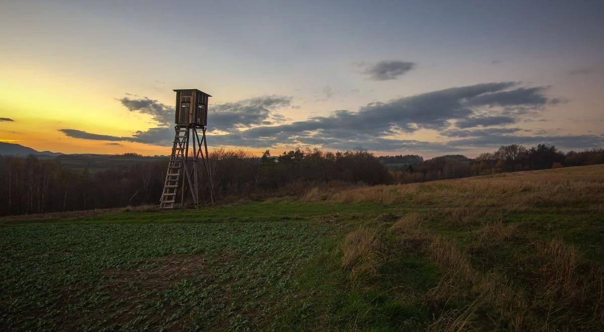 Podpalali ambony. Chcieli to zatuszować kradzieżą fotopułapki