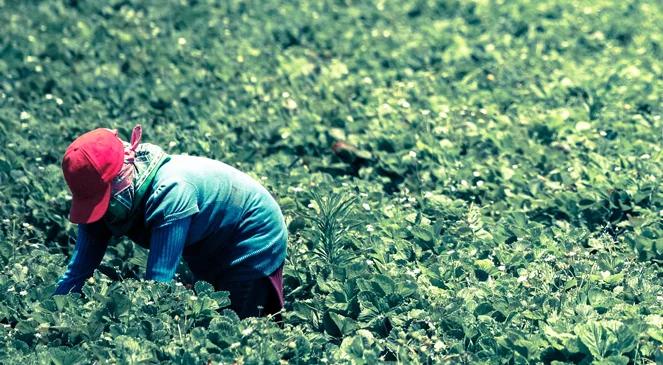 Dobra sytuacja na rynku pracy. Przedsiębiorcy będą mieć problemy?