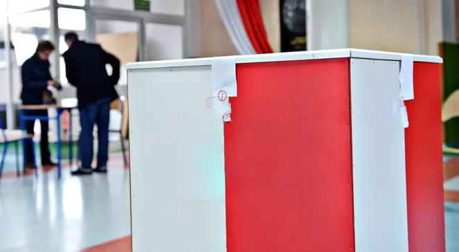 Referendum o jednomandatowych okręgach wyborczych 