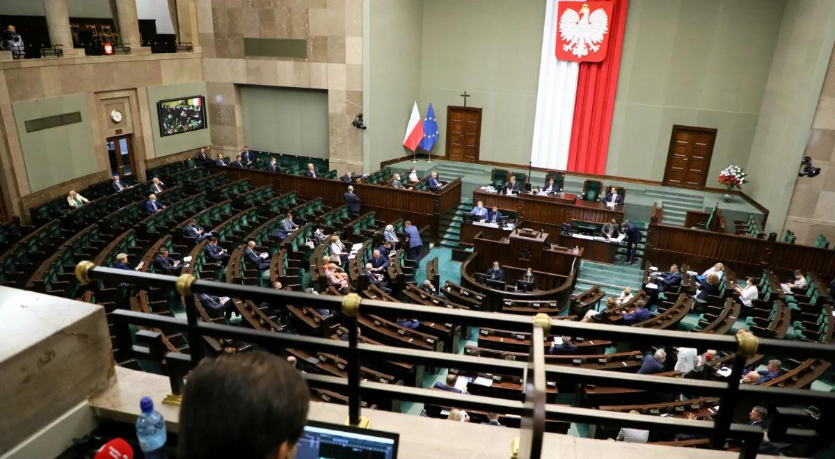 Projekt PiS dot. ochrony zwierząt. Wiemy, kiedy może trafić do Sejmu