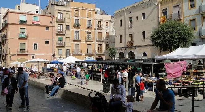 Hiszpania: Tarragona zakazuje byków i flamenco