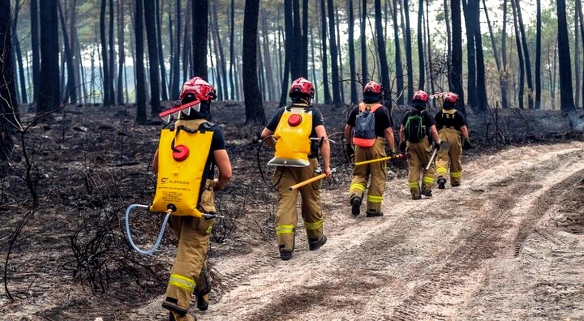 Pomagali Francuzom w uporaniu się z pożarami. Wiemy, kiedy strażacy wrócą do Polski