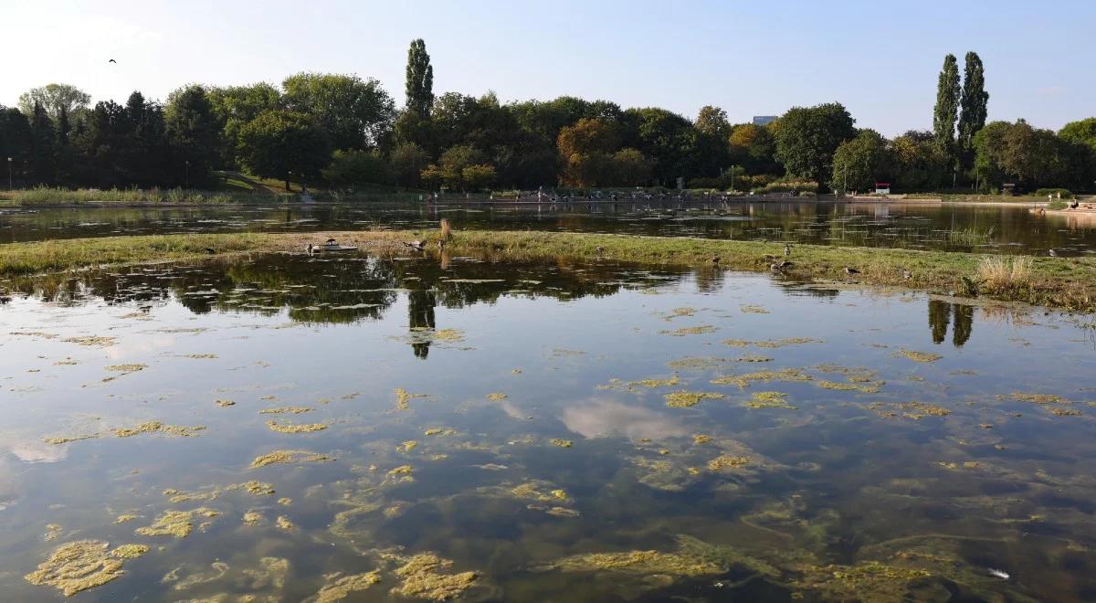 Zielone miasta. Realne narzędzia do walki ze zmianami klimatu?