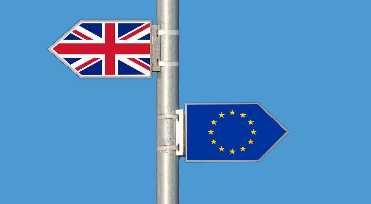 Brytyjski rząd nie ma planu na Brexit? "Wciąż nie ma wspólnej strategii"