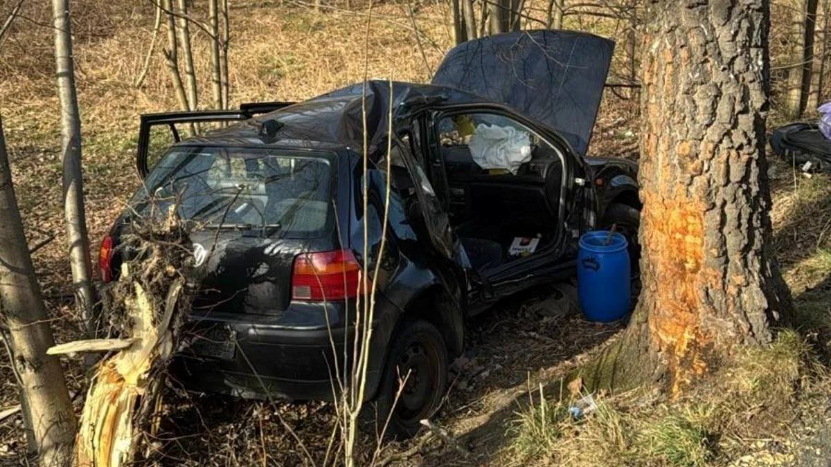 Volkswagen uderzył w drzewo. 15-latka walczyła o życie, tragiczne informacje