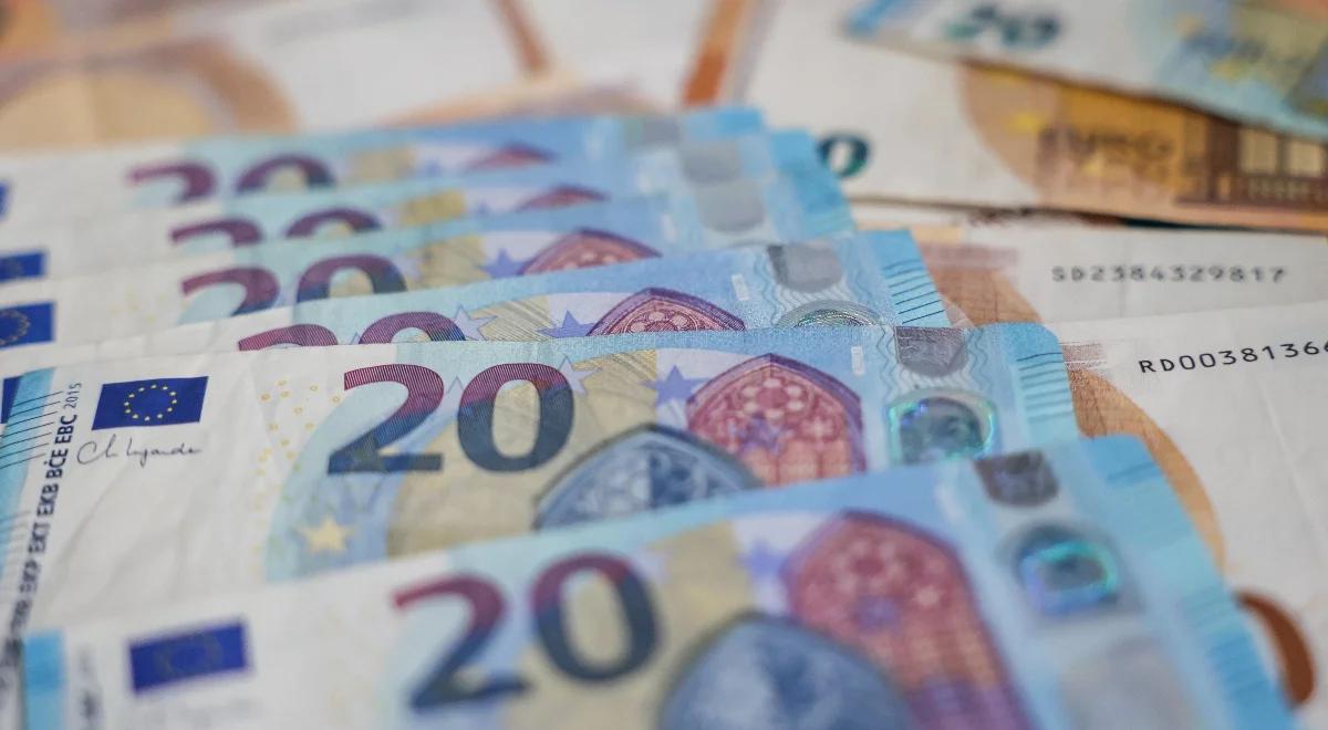Decyzja RPP a kurs euro. Oto prognozy ekonomistów 