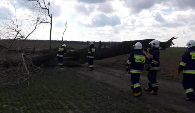 Wichura na Pomorzu. Jedna osoba nie żyje, kilkaset interwencji strażaków, sztorm na Bałtyku