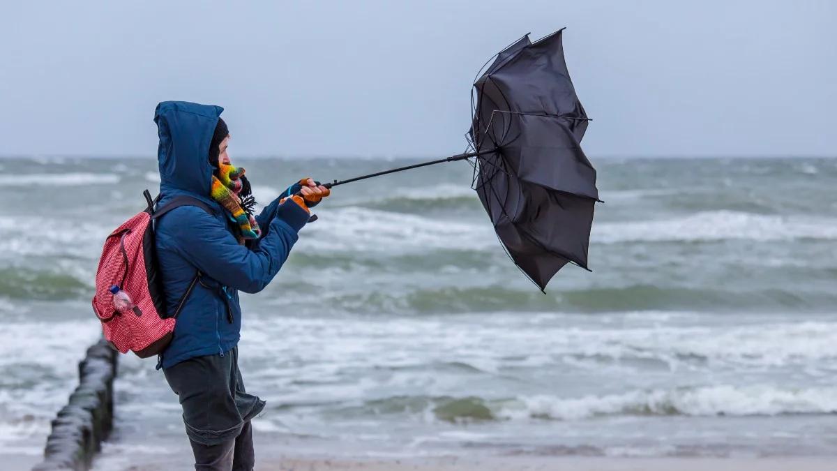 "Nawet 95 kilometrów na godzinę". IMGW ostrzega przed silnym wiatrem