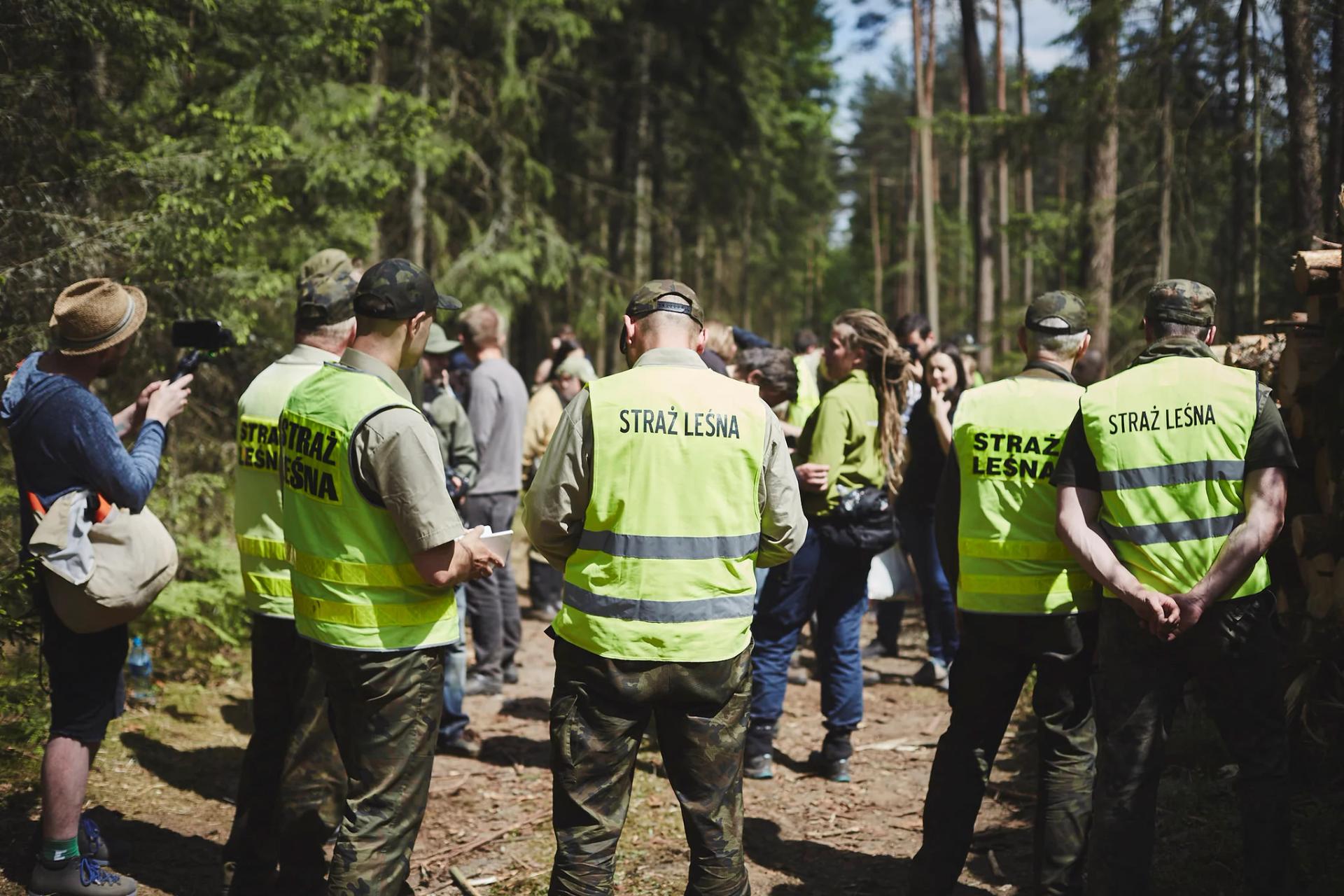 Lasy Państwowe nie wpuściły naukowców do Puszczy Białowieskiej. Ministerstwo Środowiska tłumaczy dlaczego 