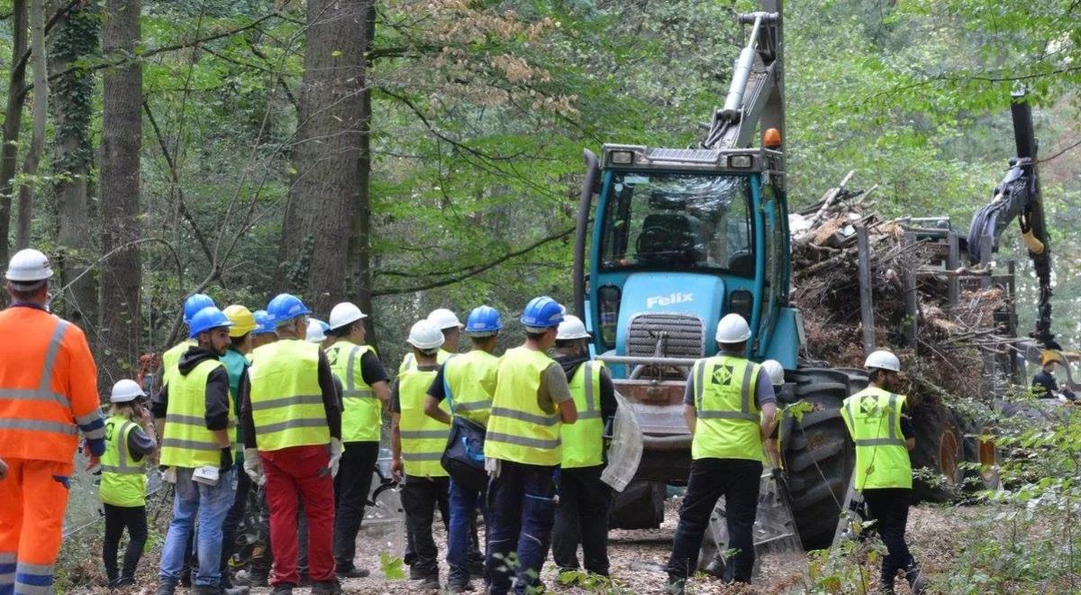 Zaostrza się spór o prastary las Hambach. Policja wkracza do akcji