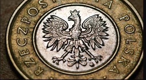 Trwa dobra passa złotego 