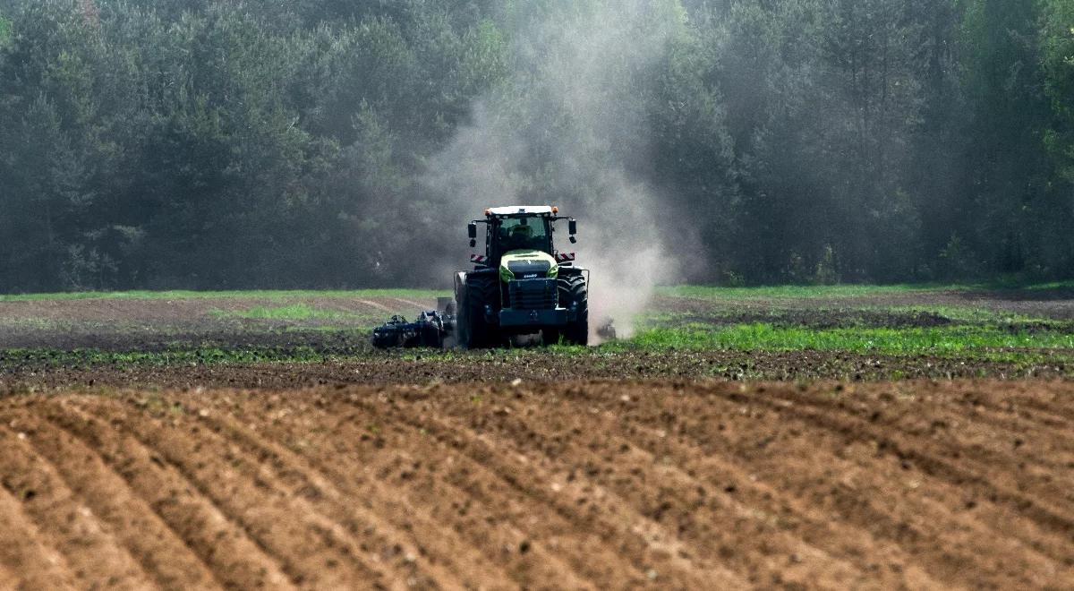 Anomalie pogodowe niszczą plony. Rolnicy apelują o pomoc rządu
