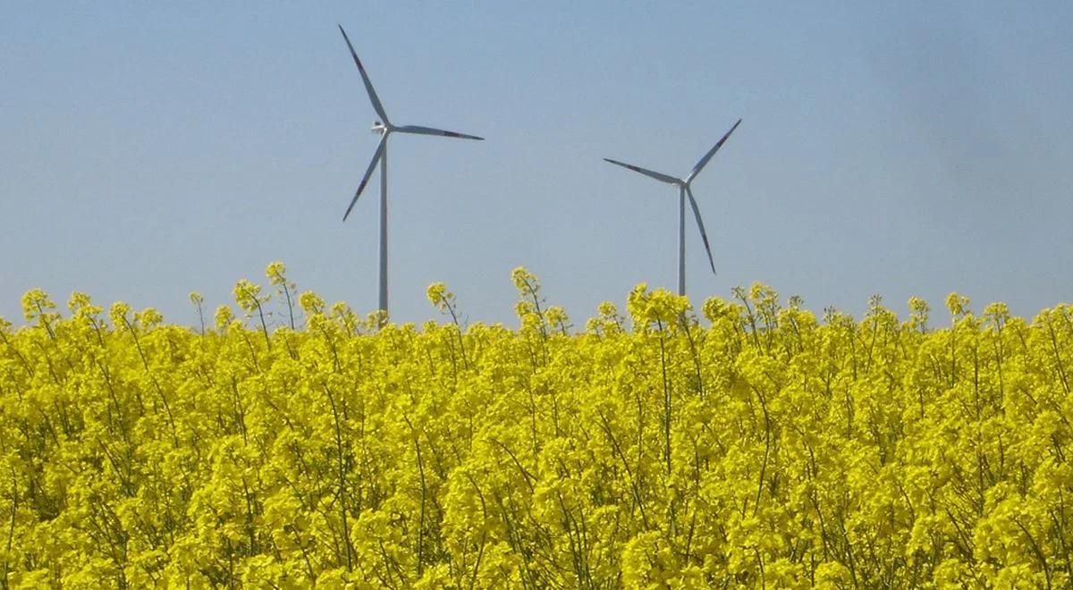 Rzepak, kukurydza i odpady. Tak powstają biokomponenty paliwowe