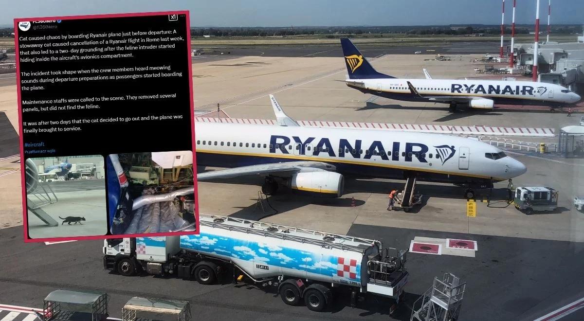 Dwa dni szukali kota w samolocie Ryanair. Maszyna została uziemiona