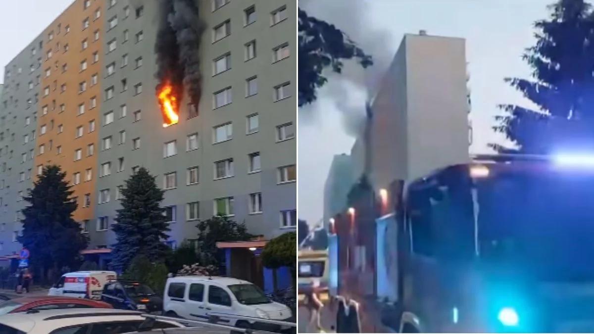 Pożar wieżowca w Rzeszowie. Masowa ewakuacja, są ranni
