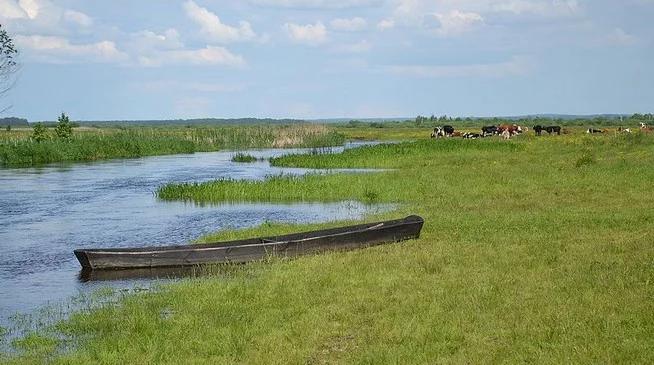 Jak parki narodowe i krajobrazowe korzystają z unijnych dotacji?
