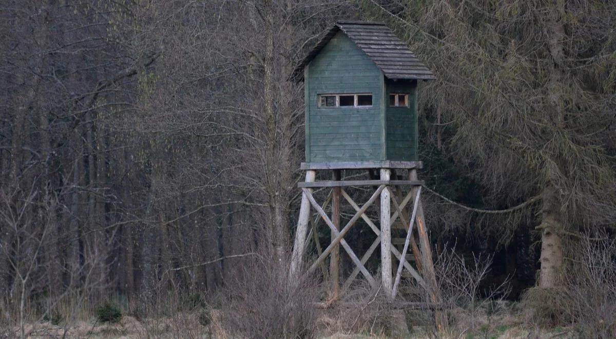 Młyniska. Myśliwy strzelił do człowieka, pomylił go z dzikiem. Usłyszał zarzut