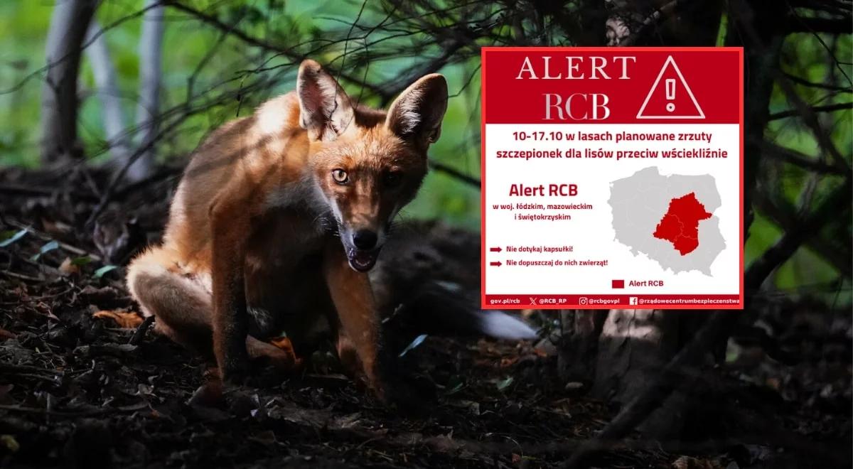 Alert RCB od 10 do 17 października. Ostrzeżenie dla trzech województw