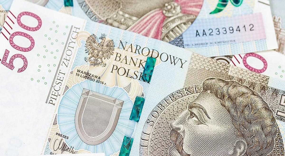 Prezes NBP: rosnąca presja na wzrost wartości złotego jest bardzo niepokojąca