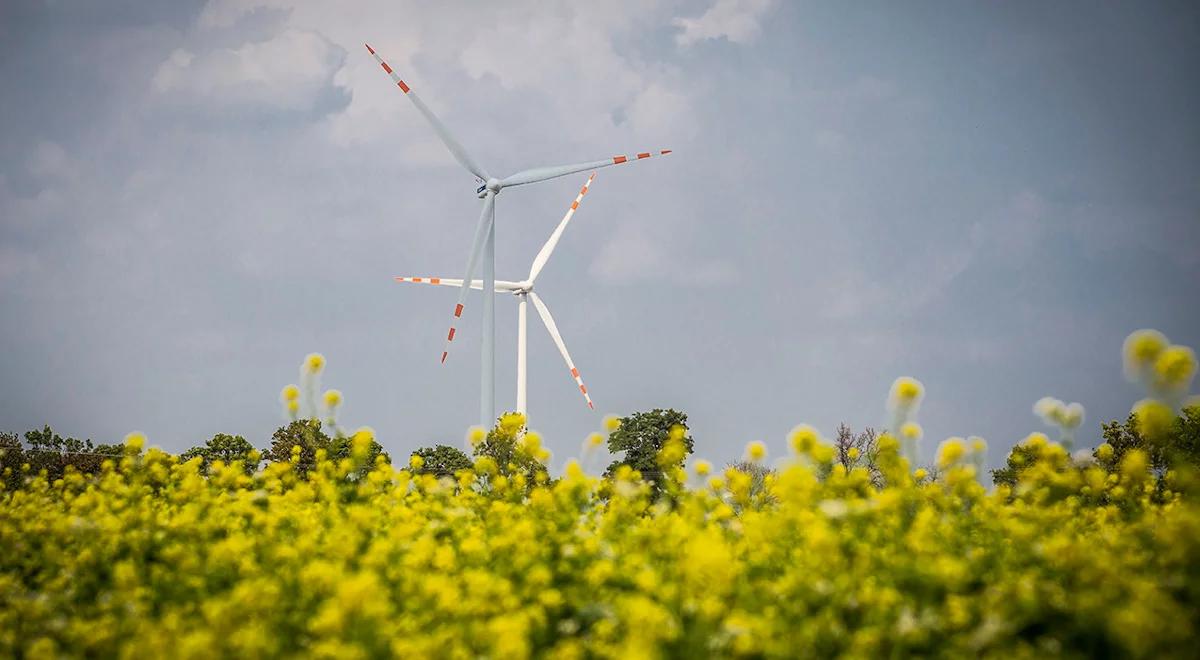 Inwestycje w ekologię sprzyjają gospodarce. PIE: potrzebujemy przyspieszenia zielonej transformacji