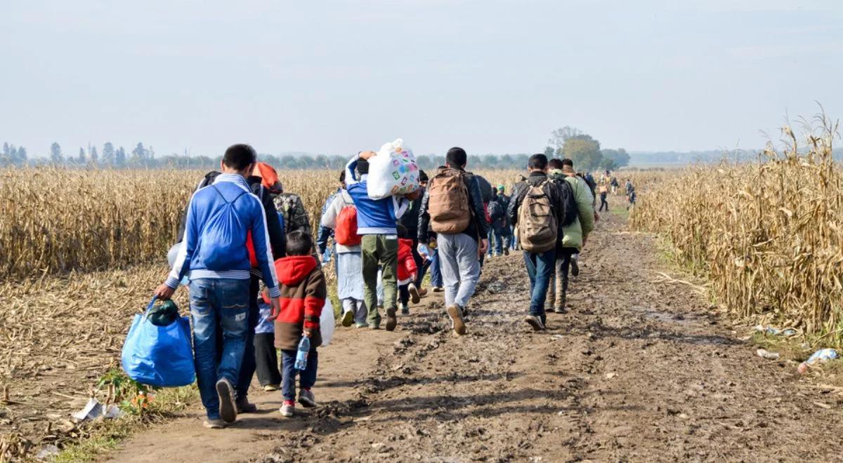 Szlak bałkański migracji. Kontrole na czesko-słowackiej granicy. "Dzięki temu zapewnimy bezpieczeństwo obywatelom"