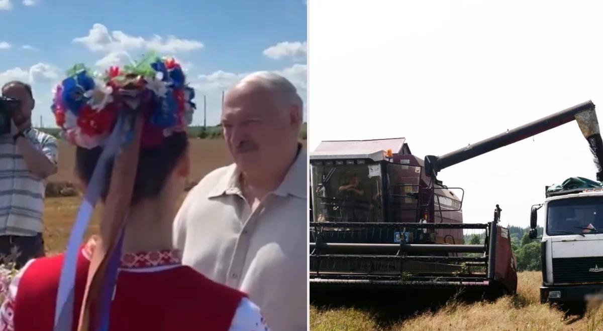 Żniwa na Białorusi jak bitwa. Łukaszenka wysyła wojsko i ruga dyrektorów kołchozów