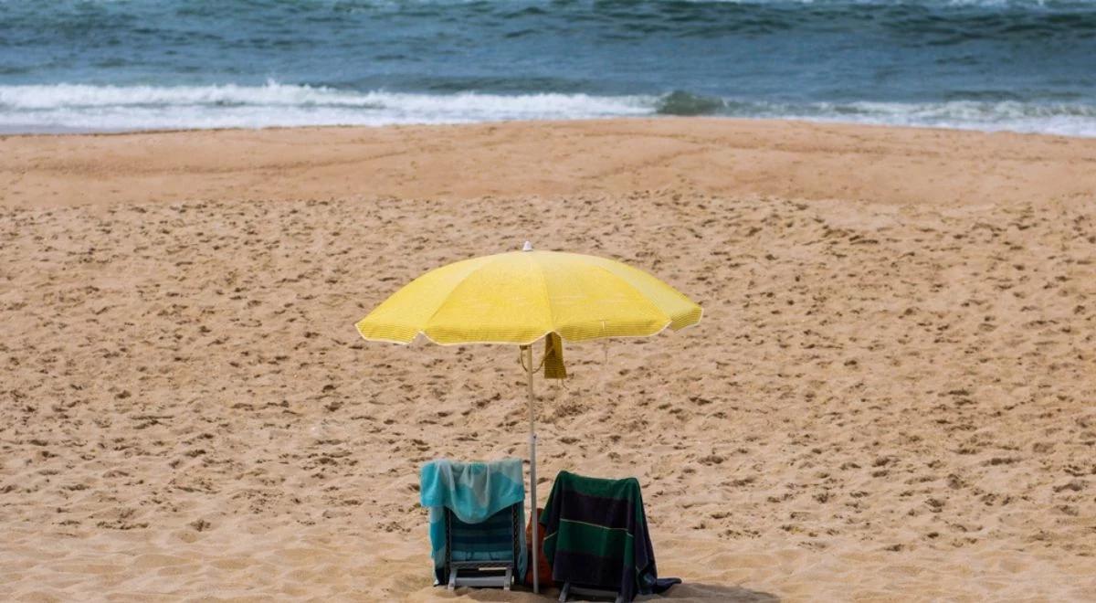 U brzegu zachodniej Portugalii pojawiły się rekiny. Służby ewakuowały plażowiczów i zabroniły kąpieli w wodzie