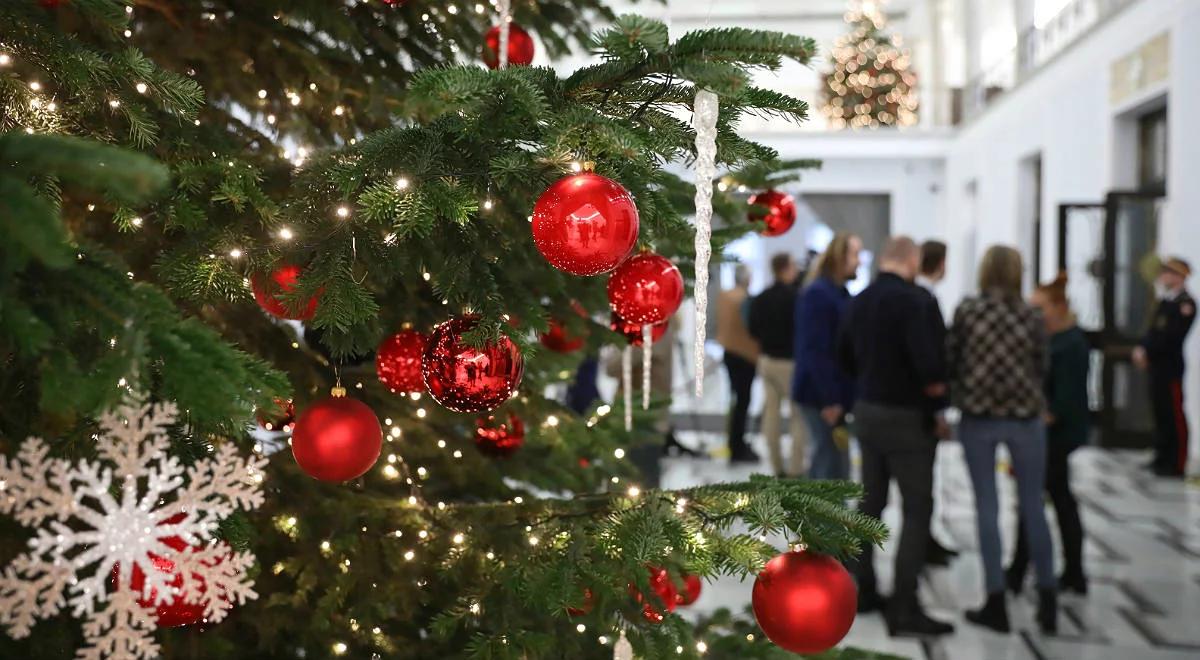 Politycy opozycji chcą odrzucić chrześcijaństwo? Prezes KAI: model czysto sowiecki