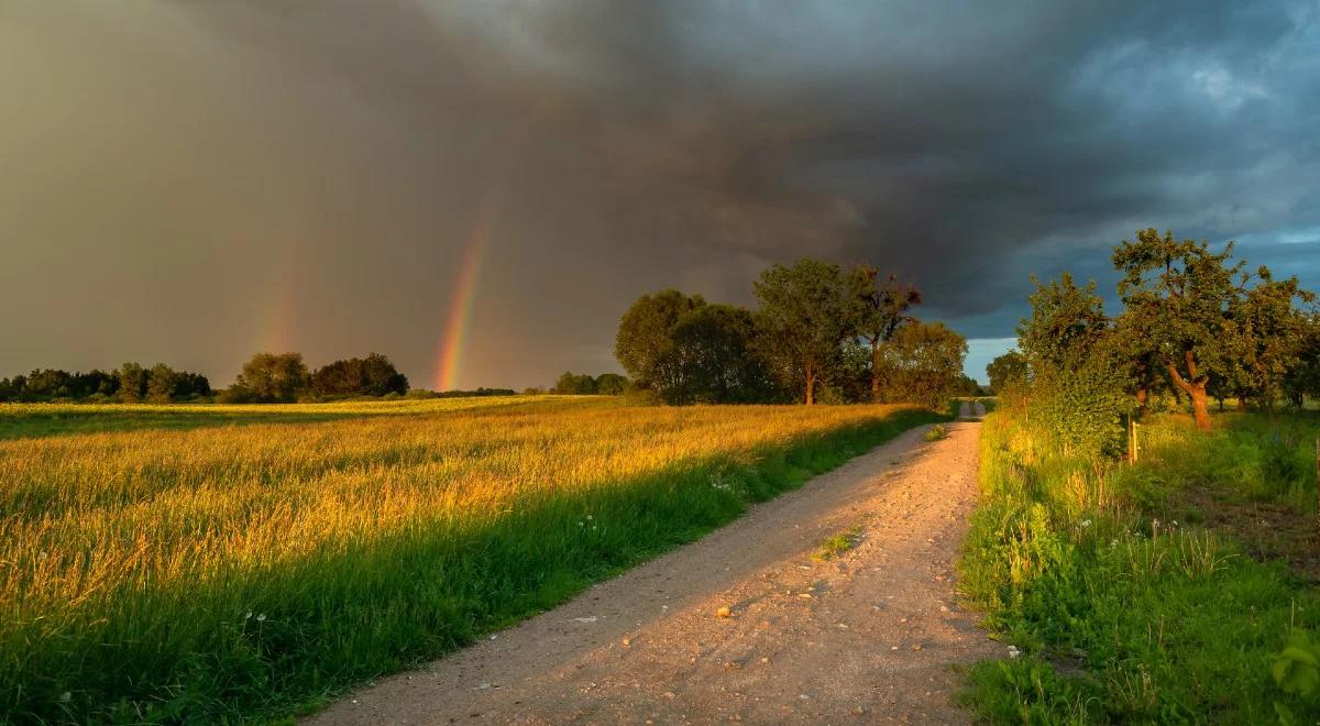 Pierwszy dzień lata chłodny i deszczowy. IMGW ostrzega przed burzami