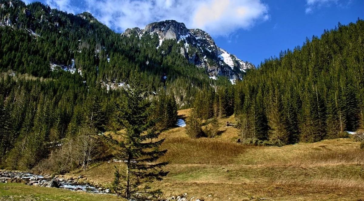 Tatry: 200 interwencji ratowniczych TOPR podczas wakacji