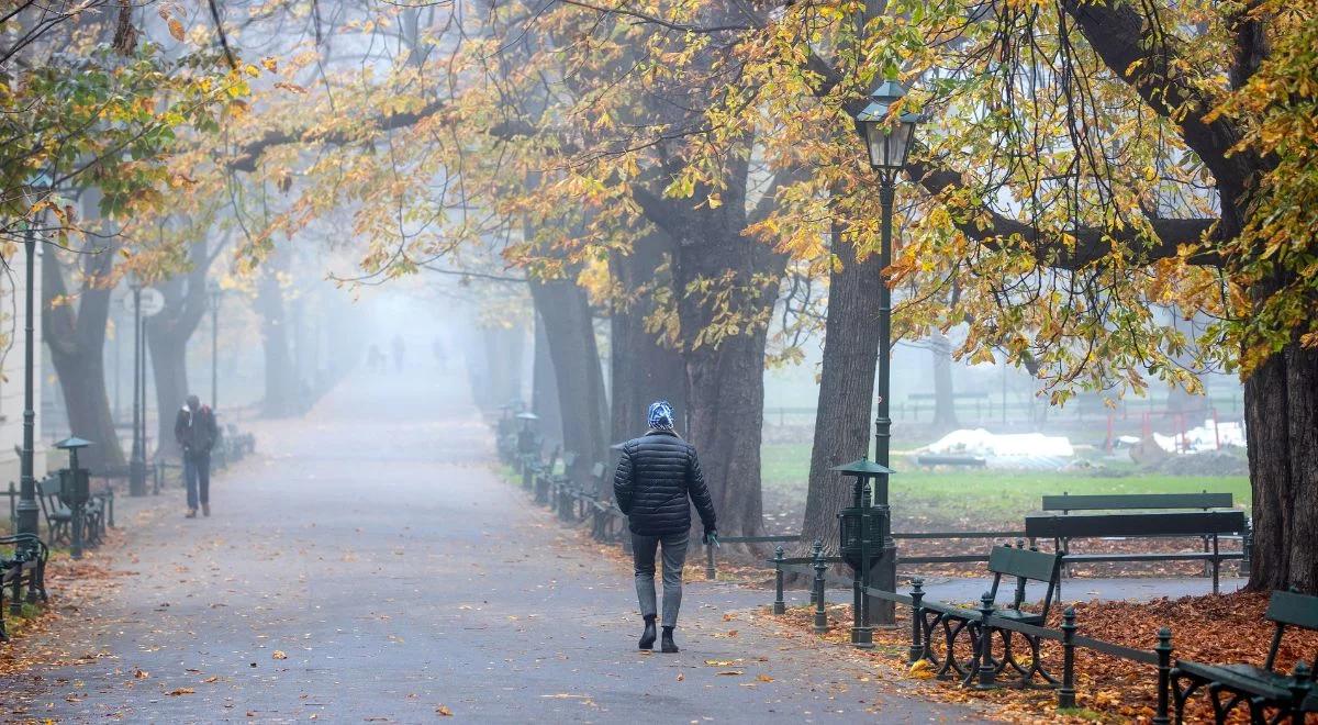 Mżawka, gołoledź i niska temperatura. Prognoza na niedzielę i poniedziałek