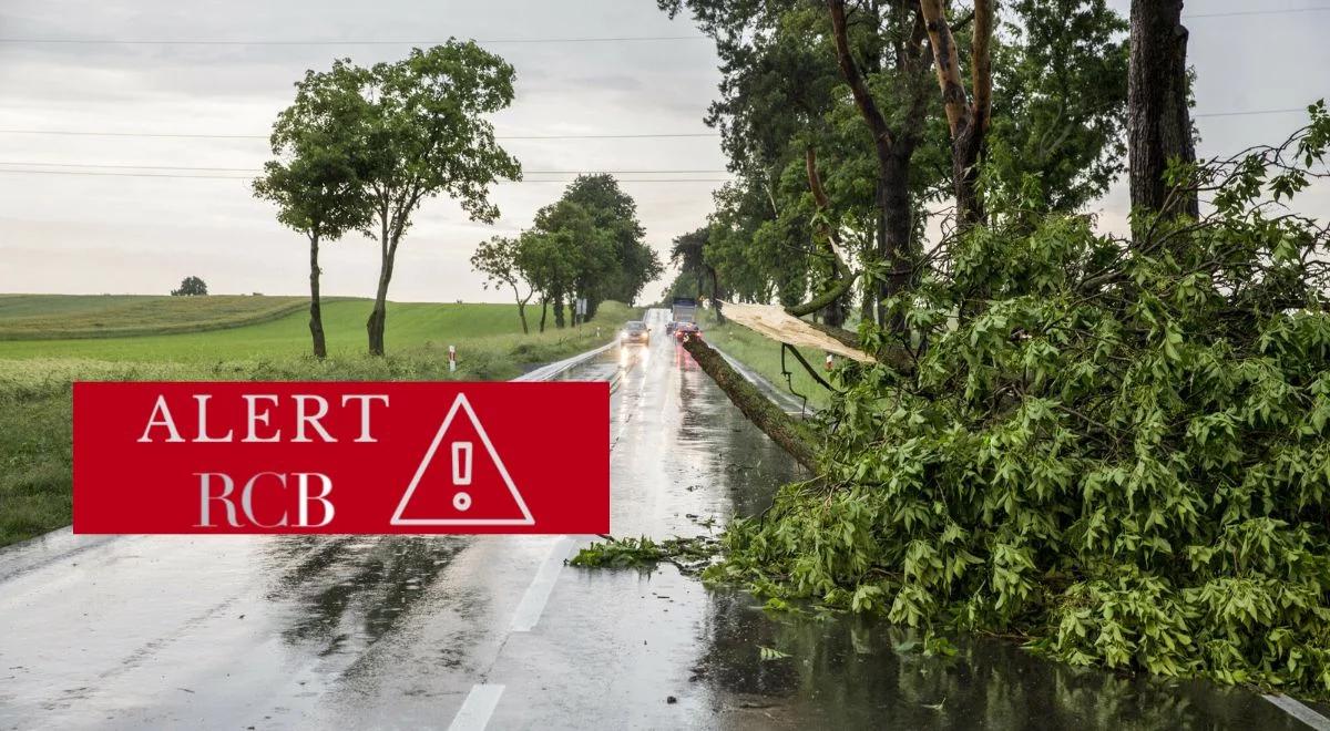 Alert RCB dla pięciu województw. W tych miejscach spodziewane są silne burze