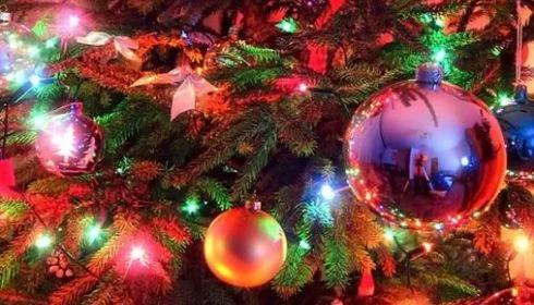 Najtańsze choinki mają duże powodzenie