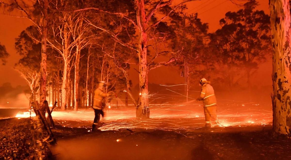 Australia wciąż płonie. Miliardy na "odbudowę kraju ze zniszczeń"