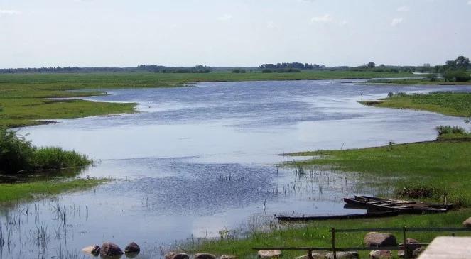 Wznowiono poszukiwania mężczyzny, który wpadł do Biebrzy
