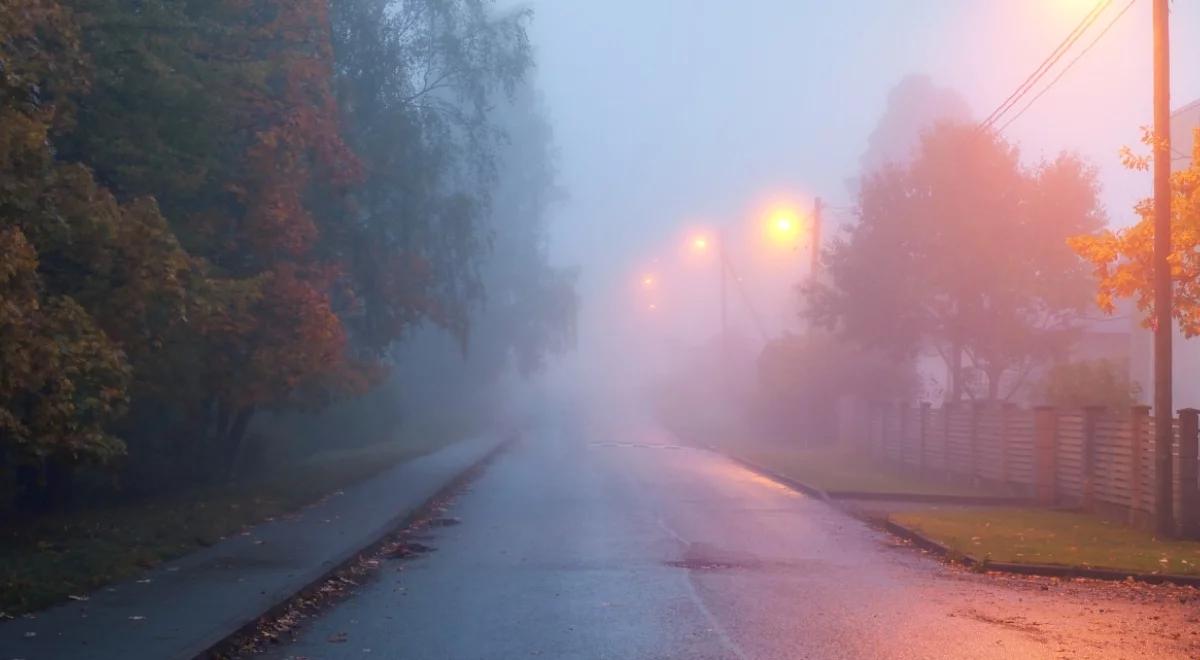 Prognoza pogody. Uwaga na mgły, znacznie ograniczające widoczność. W nocy przymrozki