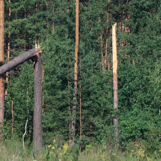 "Przeszła trąba powietrzna". Zginęły dwie dziewczynki,  jest wielu rannych. Tragedia w obozie harcerskim w Suszku