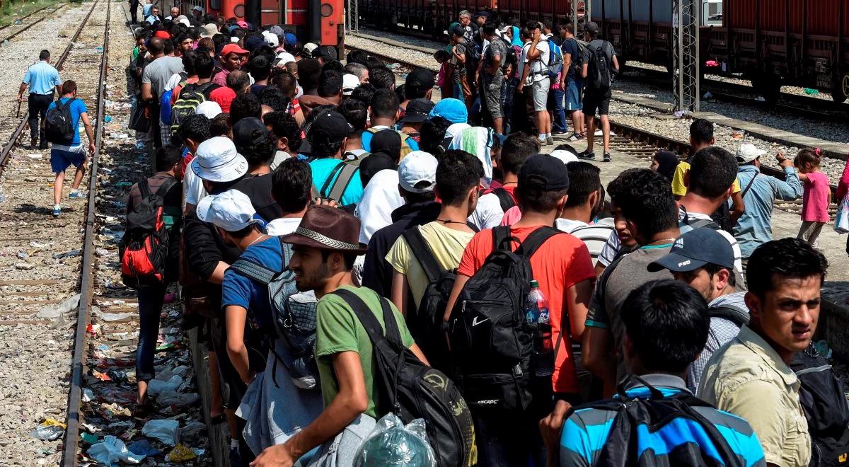 Skuteczne środki bezpieczeństwa. Mniej imigrantów w Calais