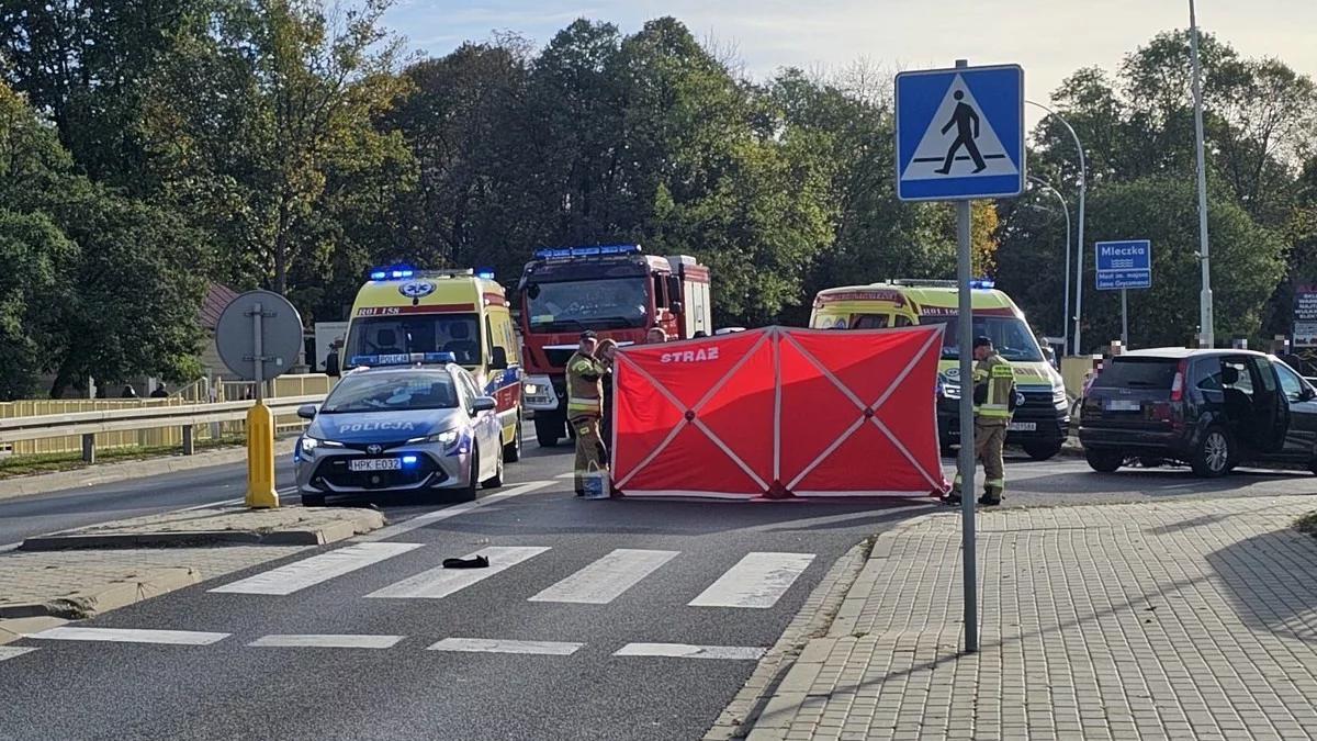 Mężczyzna z dwójką dzieci potrąceni na pasach. Nie żyje 6-latek