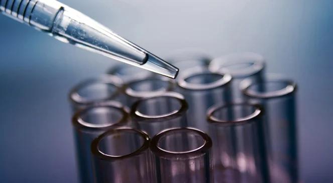 Rewolucja w in vitro