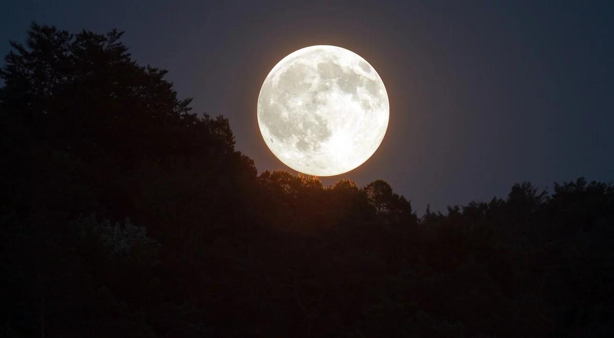 Wyjątkowe zjawisko na nocnym niebie. Dziś truskawkowa pełnia Księżyca