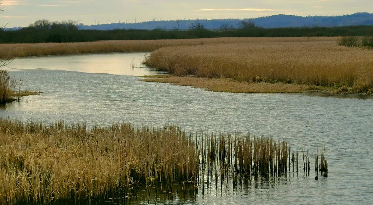 Udrożnienie turystycznej drogi wodnej na Mazury coraz bliżej. Trwają prace projektowe