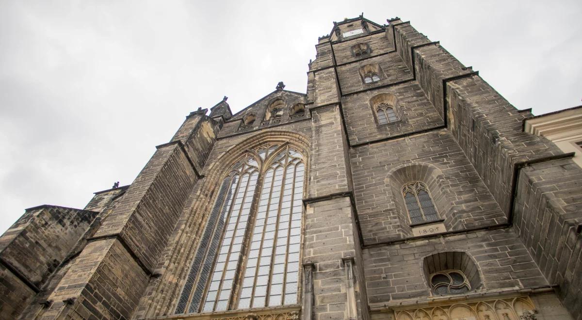Świdnica. W podziemiach katedry odkryto kości. Niektóre z nich należały do dzieci