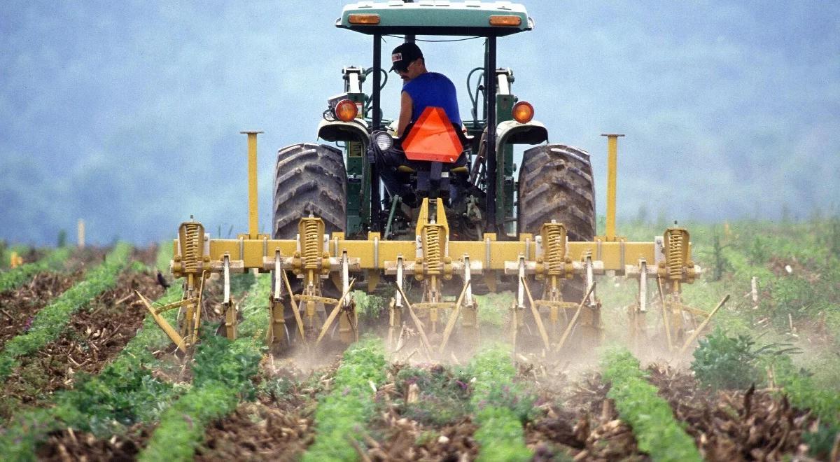 Ruszył nabór wniosków o dopłaty do materiału siewnego. W budżecie zarezerwowano na ten cel 75 mln zł