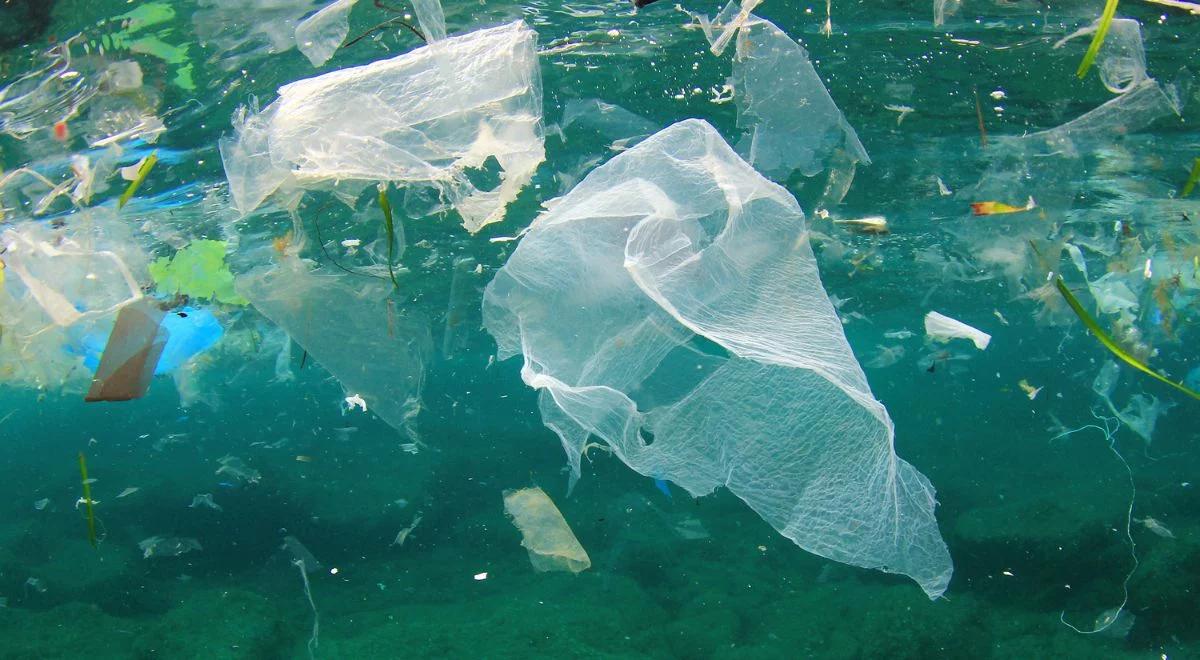 Plastik w oceanie. Co minutę trafia tam ciężarówka odpadów