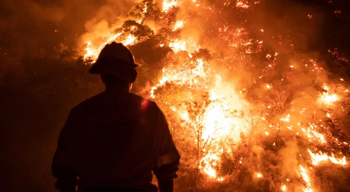 Ogień zbliża się do Los Angeles. Udało się dotąd ugasić jedynie 15 proc. pożarów w Kalifornii