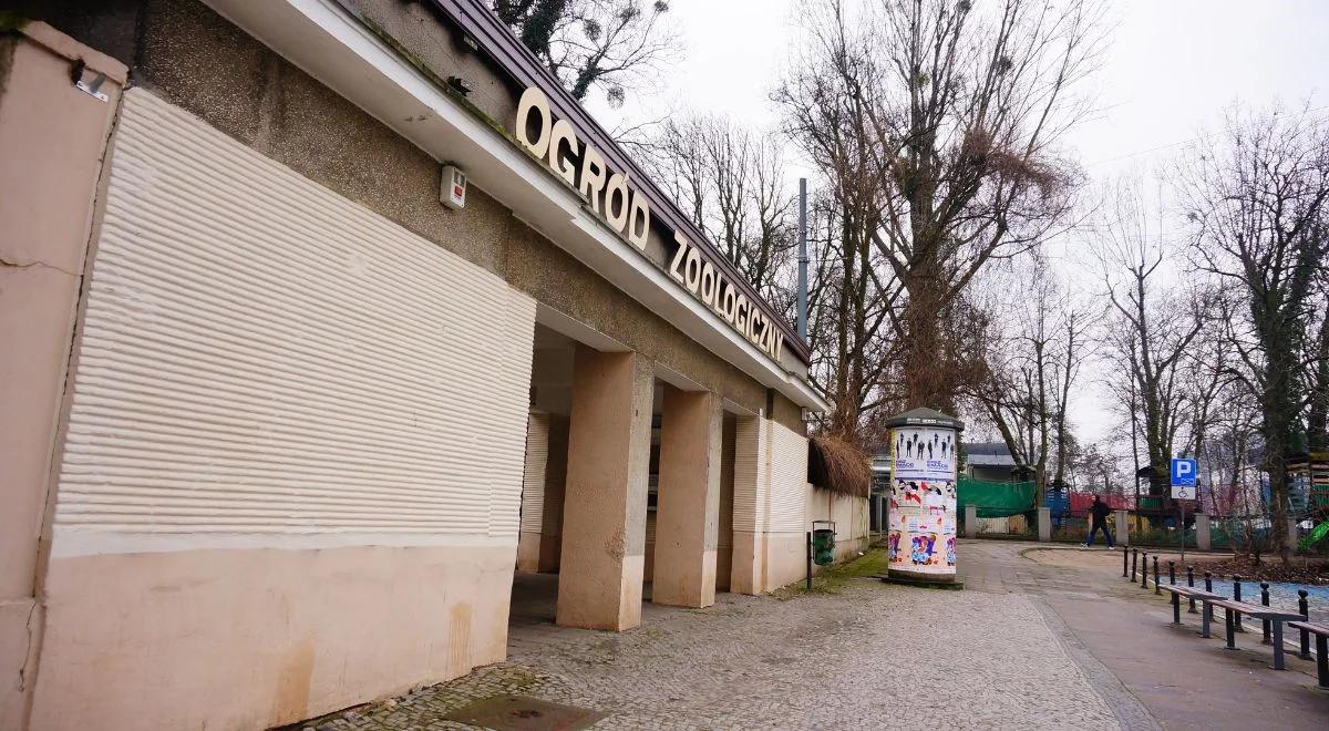 Nadużycia uprawnień, oszustwa. Dyrektor zoo w Poznaniu zatrzymana. Prokurator postawił jej zarzuty